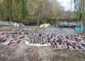 Хотіли виловити всю рибу: на Дніпропетровщині викрили браконьєрів
