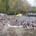 Хотіли виловити всю рибу: на Дніпропетровщині викрили браконьєрів
