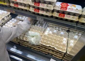 Від 35 до 120 грн за десяток: скільки коштують яйця у Дніпрі та де дешевше