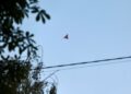 Дрон попал в магазин в Соломенском районе Киева, есть погибшие