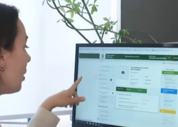Идентификация по видеосвязи: ПФУ назвал, сколько пенсионерам ждать решения